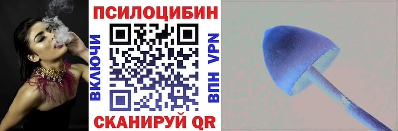 Псилоцибиновые грибы GOLDEN TEACHER  Купить закладки  Стрежевой 